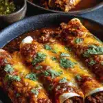 Birria Enchiladas Recipe