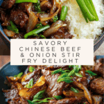 Chinese Beef and Onion Stir Fry Recipe