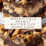 Peanut Butter Cup Dump Cake Recipe