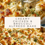 Irresistible Chicken and Broccoli Alfredo Bake Recipe