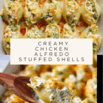Chicken Alfredo Stuffed Shells Recipe