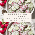 Creamy Cucumber Radish Salad Recipe