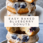 Baked Blueberry Donuts Recipe