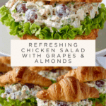 The Ultimate Chicken Salad Recipe
