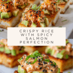 Salmon Crispy Rice Recipe