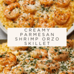 One Pan Parmesan Orzo with Shrimp Recipe