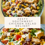 Zesty Southwest Chicken Salad Recipe
