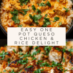 One Pot Queso Chicken and Rice : Easy Comfort Food Recipe