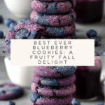 Fruity Indulgence: 5 Best Blueberry Cookie Recipes Recipe