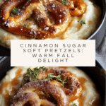 Cinnamon Sugar Soft Pretzels Recipe
