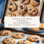 Chewy Blueberry Oatmeal Cookies Recipe