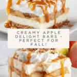 Apple Delight Recipe