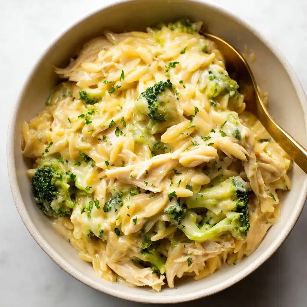 Cheesy Chicken Broccoli Orzo Recipe