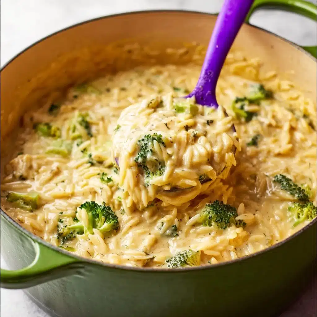 Cheesy Chicken Broccoli Orzo Recipe - Recipe Image
