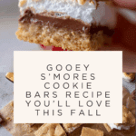 The Best s’mores cookie bars Recipe
