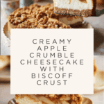 Apple Crumble Cheesecake Recipe