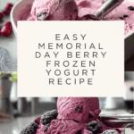 Easy Memorial Day Berry Frozen Yogurt Recipe