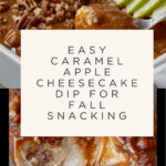 Easy caramel apple cheesecake dip recipe