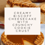 Biscoff Cheesecake Recipe