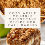 Apple Crumble Cheesecake Recipe