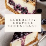 Blueberry Crumble Cheesecake Recipe